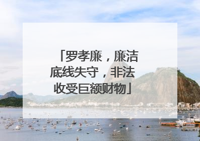 罗孝廉，廉洁底线失守，非法收受巨额财物