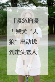 紧急增援！警犬“天狼”出动找到走失老人
