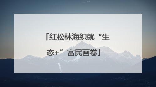 红松林海织就“生态+”富民画卷