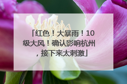 红色！大暴雨！10级大风！确认影响杭州，接下来太刺激
