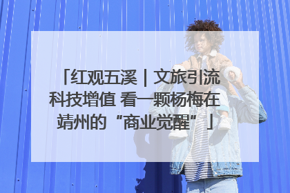 红观五溪｜文旅引流 科技增值 看一颗杨梅在靖州的“商业觉醒”