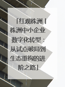 红观株洲丨株洲中小企业数字化转型：从试点破局到生态重构的进阶之路