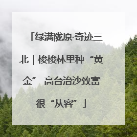 绿满陇原·奇迹三北｜梭梭林里种“黄金” 高台治沙致富很“从容”