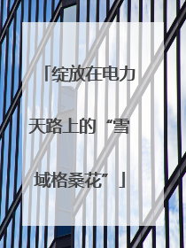 绽放在电力天路上的“雪域格桑花”