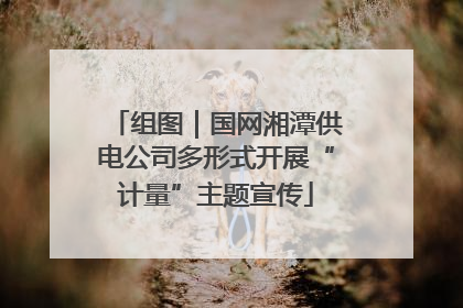 组图｜国网湘潭供电公司多形式开展“计量”主题宣传