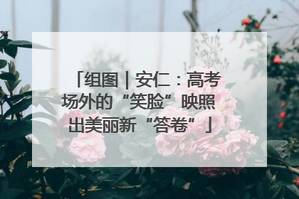组图｜安仁：高考场外的“笑脸”映照出美丽新“答卷”