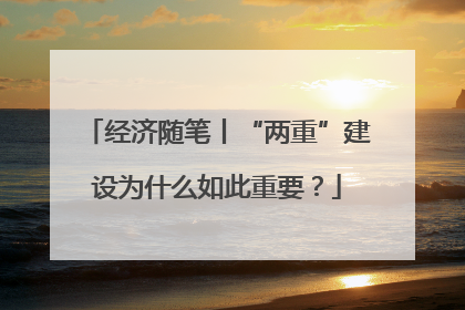 经济随笔丨“两重”建设为什么如此重要？