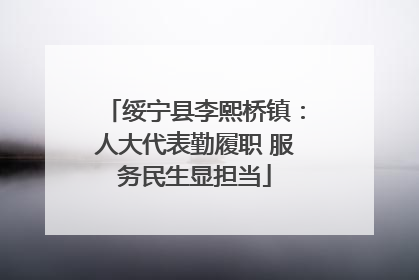 绥宁县李熙桥镇：人大代表勤履职 服务民生显担当