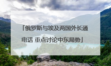 俄罗斯与埃及两国外长通电话 重点讨论中东局势