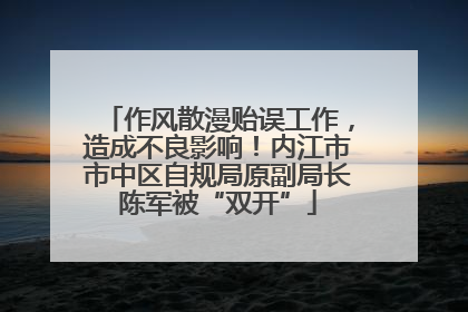 作风散漫贻误工作，造成不良影响！内江市市中区自规局原副局长陈军被“双开”