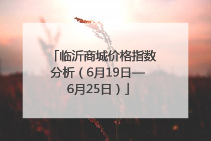临沂商城价格指数分析（6月19日—6月25日）