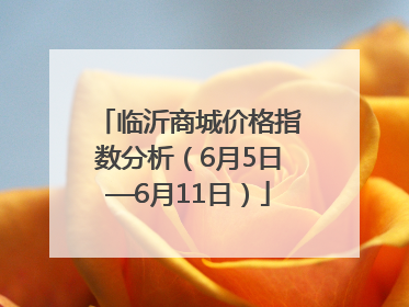 临沂商城价格指数分析（6月5日—6月11日）
