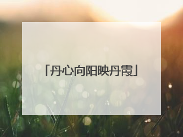 丹心向阳映丹霞