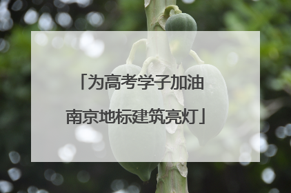 为高考学子加油 南京地标建筑亮灯