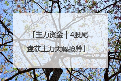 主力资金｜4股尾盘获主力大幅抢筹