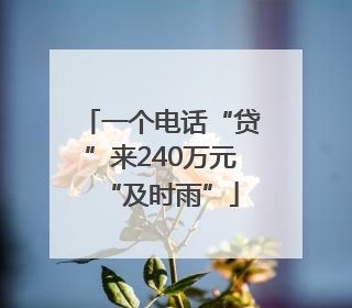一个电话“贷”来240万元“及时雨”