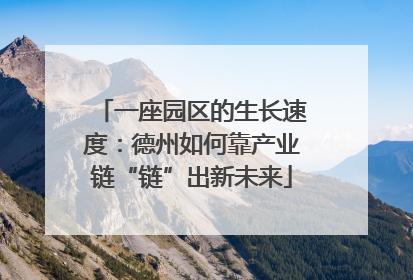 一座园区的生长速度：德州如何靠产业链“链”出新未来