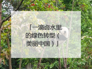 一滴卤水里的绿色转型（美丽中国）