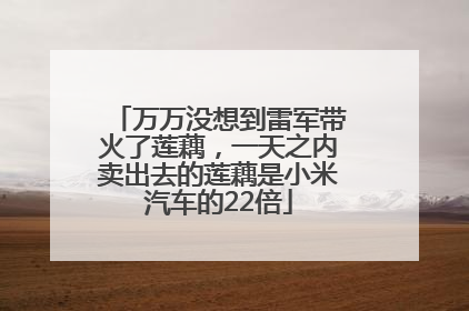 万万没想到雷军带火了莲藕，一天之内卖出去的莲藕是小米汽车的22倍