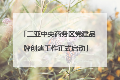 三亚中央商务区党建品牌创建工作正式启动