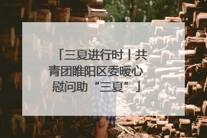 三夏进行时丨共青团睢阳区委暖心慰问助“三夏”