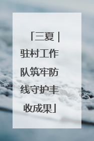 三夏｜驻村工作队筑牢防线守护丰收成果