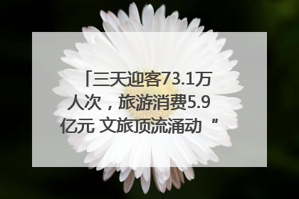 三天迎客73.1万人次，旅游消费5.9亿元 文旅顶流涌动“江宁style”