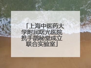 上海中医药大学附属曙光医院携手鹊秘堂成立联合实验室