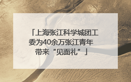 上海张江科学城团工委为40余万张江青年带来“见面礼”