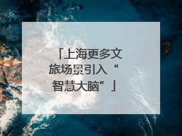 上海更多文旅场景引入“智慧大脑”