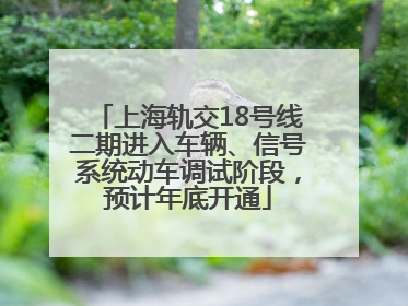 上海轨交18号线二期进入车辆、信号系统动车调试阶段，预计年底开通