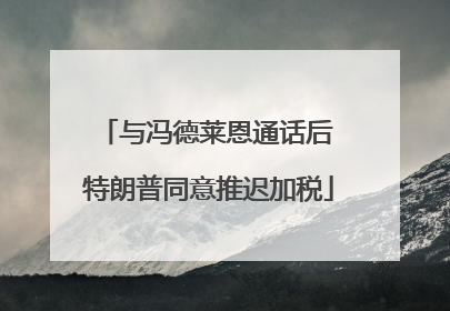 与冯德莱恩通话后 特朗普同意推迟加税
