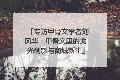 专访甲骨文学者刘风华：甲骨文里的戈光剑影与商城新生