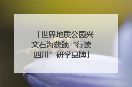 世界地质公园兴文石海获颁“行读四川”研学品牌