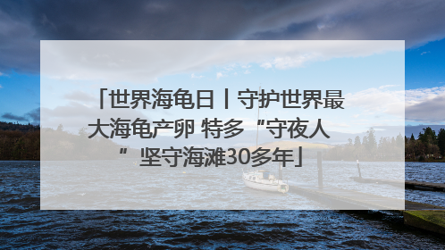 世界海龟日丨守护世界最大海龟产卵 特多“守夜人”坚守海滩30多年