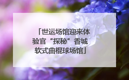 世运场馆迎来体验官“探秘”香城软式曲棍球场馆