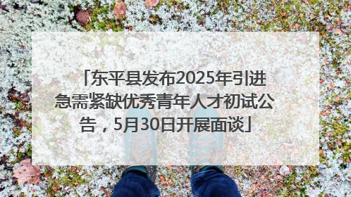 东平县发布2025年引进急需紧缺优秀青年人才初试公告，5月30日开展面谈
