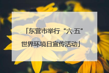 东营市举行“六·五”世界环境日宣传活动