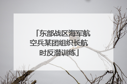 东部战区海军航空兵某团组织长航时反潜训练