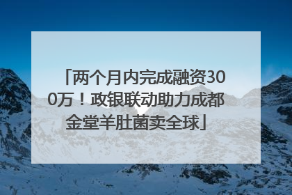 两个月内完成融资300万！政银联动助力成都金堂羊肚菌卖全球