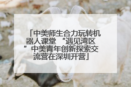 中美师生合力玩转机器人课堂 “遇见湾区”中美青年创新探索交流营在深圳开营