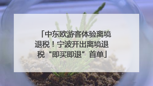 中东欧游客体验离境退税！宁波开出离境退税“即买即退”首单