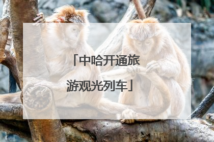 中哈开通旅游观光列车