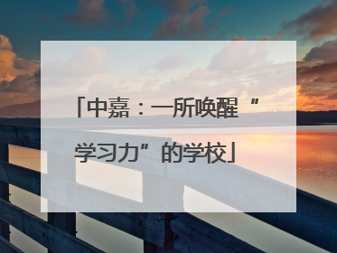 中嘉：一所唤醒“学习力”的学校