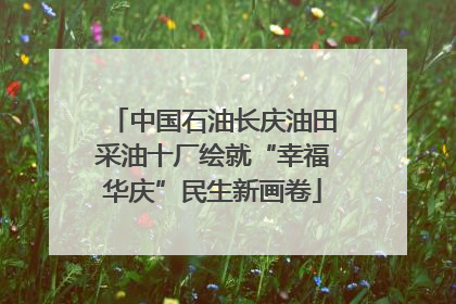 中国石油长庆油田采油十厂绘就“幸福华庆”民生新画卷