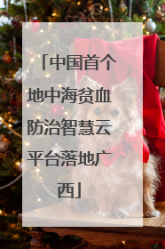 中国首个地中海贫血防治智慧云平台落地广西