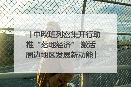 中欧班列密集开行助推“落地经济” 激活周边地区发展新动能