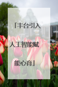 丰台引入人工智能赋能心育