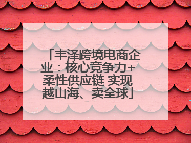 丰泽跨境电商企业：核心竞争力+柔性供应链 实现越山海、卖全球
