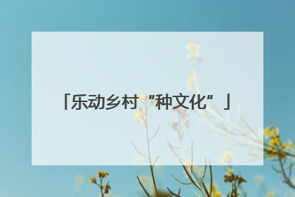 乐动乡村“种文化”